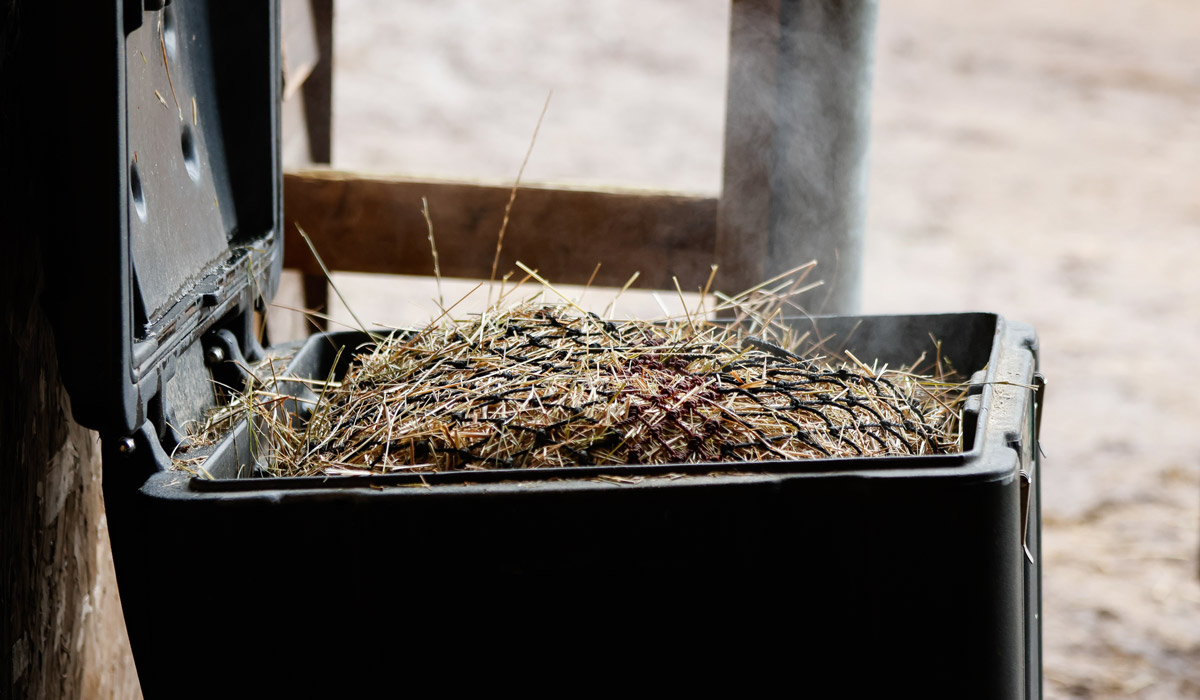 Dampf steigt aus einem geöffneten Heubedampfer im Pferdestall auf. Der schwarze Behälter ist mit feuchtem Heu gefüllt und zeigt den Prozess der hygienischen Heubedampfung zur Reduzierung von Staub und Sporen.